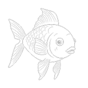 Swimming Fish